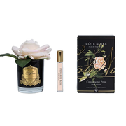 Cote Noire Perfumed Natural Touch Single French Rose - Champagne Pink (Silver&Clear)-Beauty Affairs2